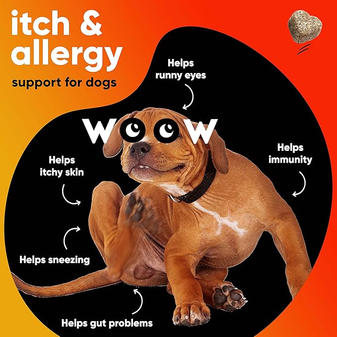 Dog Allergy & Itch Relief Supplements Soft Chews (90 CT) – Seasonal Allergy Support + Hot Spot & Skin Comfort – Omega 3 Salmon Oil + YEA-SACC – Made in USA