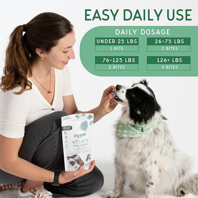 Mighty Mushroom Chews Supplement for Dogs & Cats | Blend of Turkey Tail, Reishi, Chaga, Maitake & Shiitake | for Immune System, Lumps & Bumps, Gut Health & Skin Support | 60 Chews