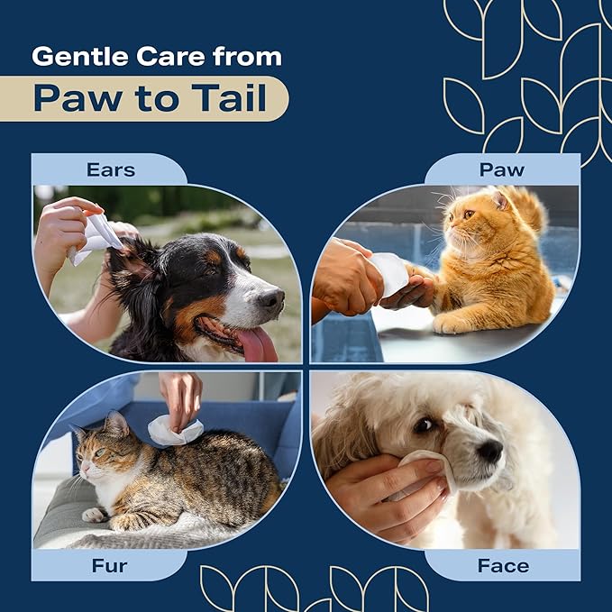 Dog Wipes for Paws and Butt - (800 Wipes) - Plant Based Lavendar Scented, Pet Wipes for Dogs and Cats - Deodorizing Non Toxic Dog Wipes - 8 Packs of 100