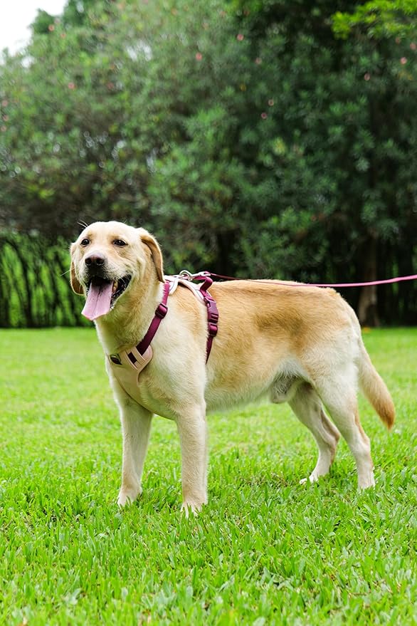 No Pull Dog Harness Leash and Collar Set, Soft Adjustable Dogs Vest Reflective and Comfortable Handle Pink X-Large