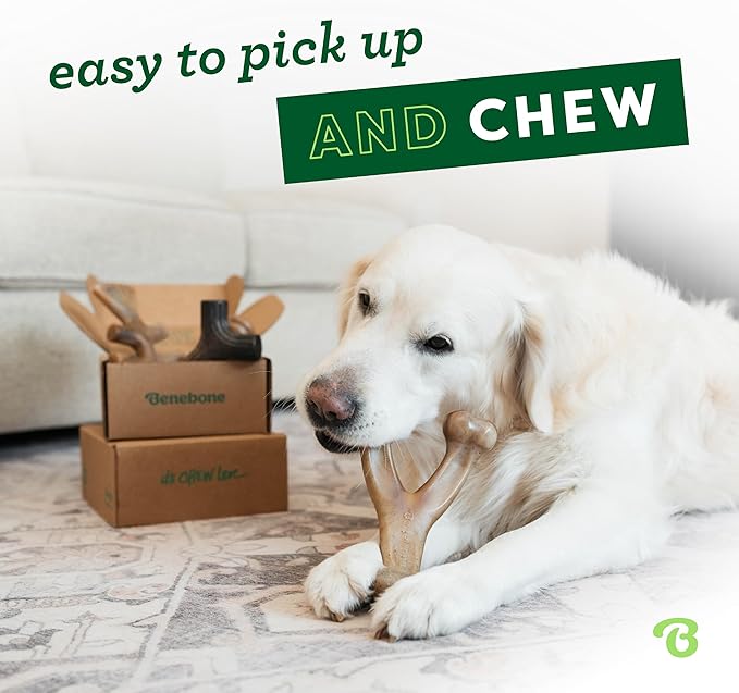 Benebone Medium 4-Pack Dog Toys for Aggressive Chewers – Durable Dog Bones, Made in USA – Dog Toys for Medium Dogs Under 60 lbs