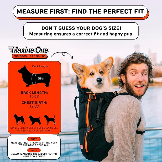 Maxine One Dog Backpack Carrier for Medium Dogs by Little Chonk | Adjustable & Ergonomic Front Facing Dog Carrier Backpack | Bult to be Safer | Pet Backpack Carrier, Featured in Wired Magazine - Gray