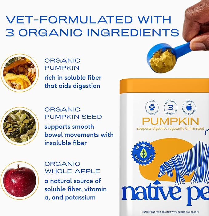 Native Pet Pumpkin for Dogs - Organic Powder Pumpkin Puree Dog Food Toppers -Rich in Fiber Supplement Powder Helps with Digestion, Nutrient Absorption, Diarrhea, Constipation & Upset Stomach-30 Scoops