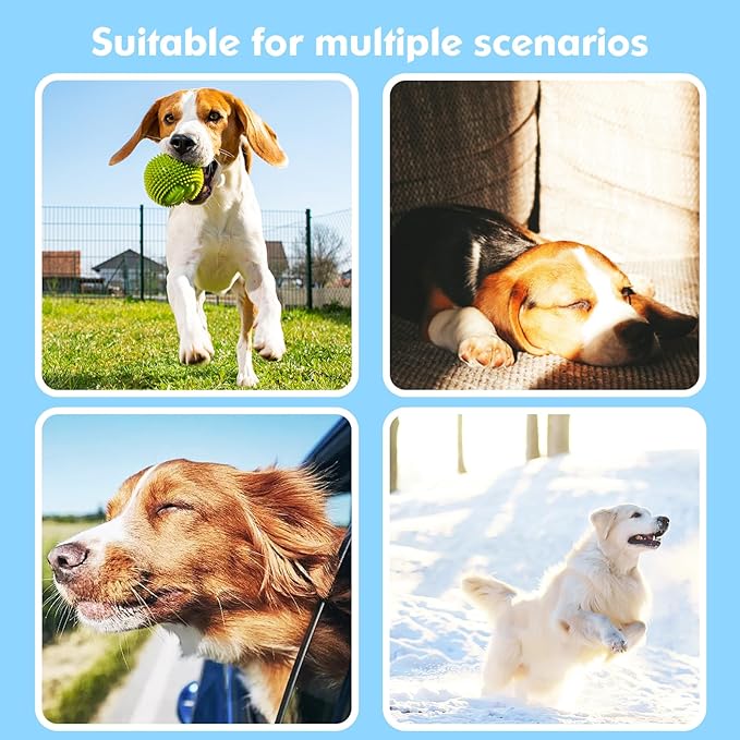 2-in-1 GPS Tracker for Dogs: Smart Collar with Real-Time Location, No Monthly Fee, Unlimited Range (iOS Only) GPS Tracker Dog Collar- Ideal for Small, Medium Large Dogs(Tracker Included)(Green)
