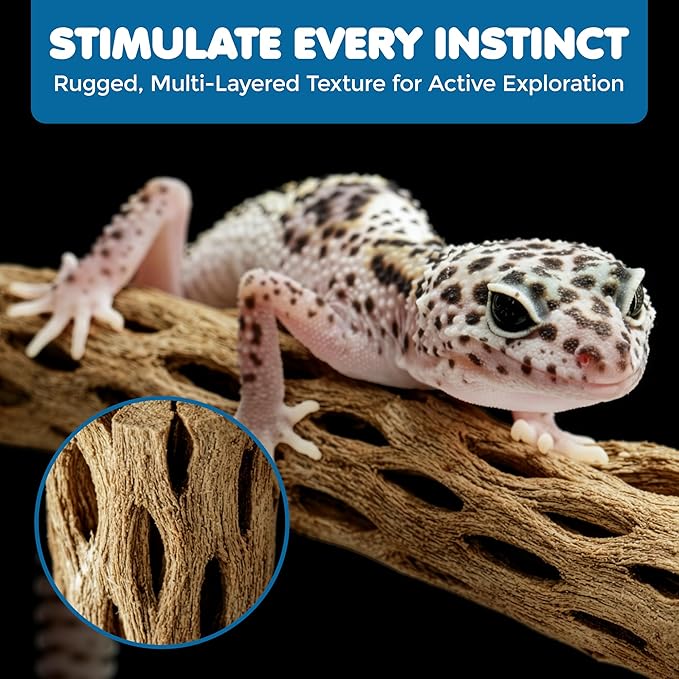 SunGrow Hermit Crab Woods, Climbing Logs, Chews, Keep Hermies Busy and Active, Long Dried Aquarium Décor Adds Raw Beauty