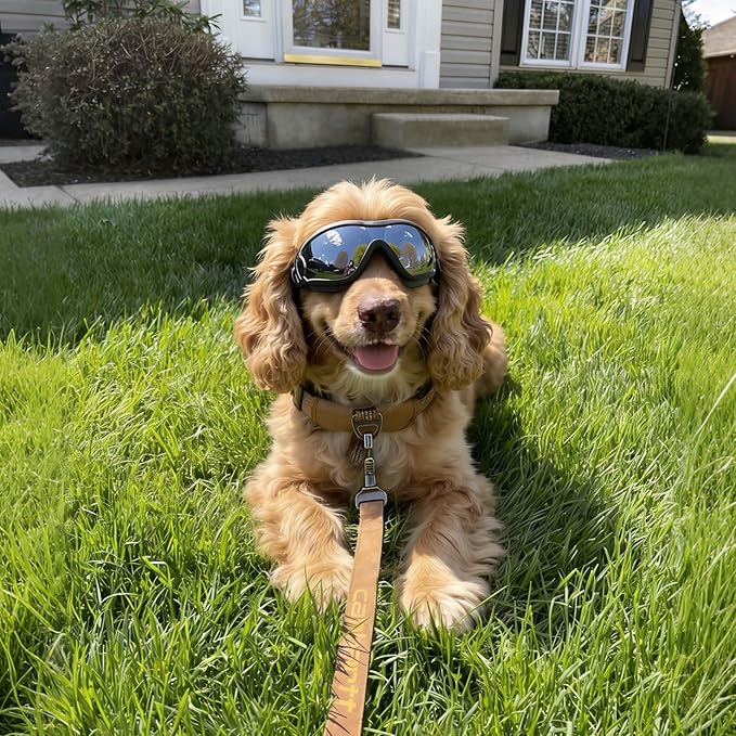 Namsan Medium Dog Goggles, UV Protection Goggles for Dogs Small Medium Breed, Doggy Sunglasses with Adjustable Straps, Windproof Dog Eye Protection for Outdoor Activities, Black