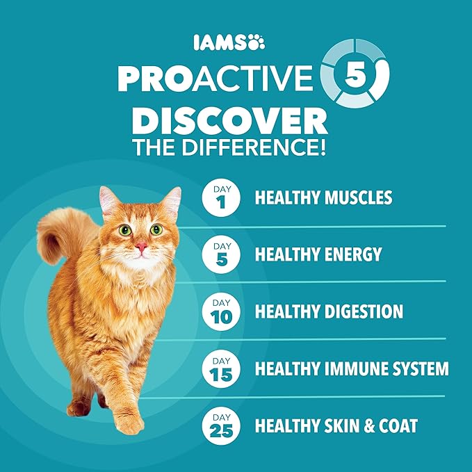 IAMS Proactive Health Dry Cat Food, Indoor Weight and Hairball Care Cat Food Dry Recipe, with Salmon, 7 lb. Bag