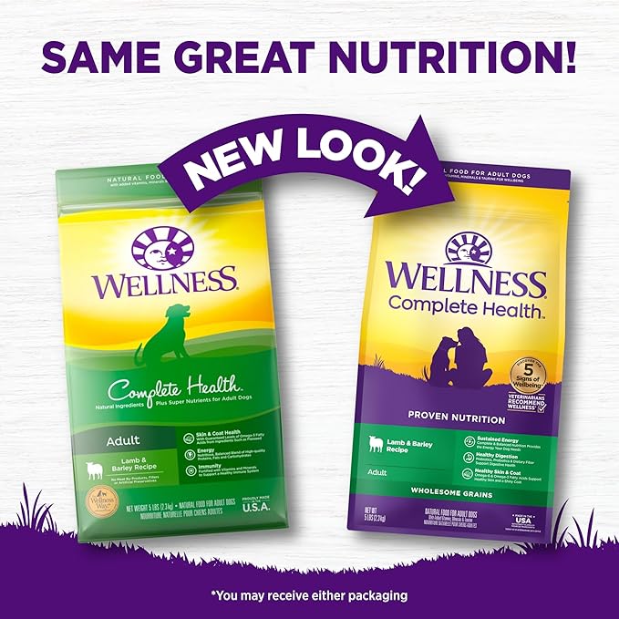 Wellness Complete Health Adult Dry Dog Food, Wholesome Grain Kibble, Natural, Lamb and Barley Recipe, 5 lb Bag