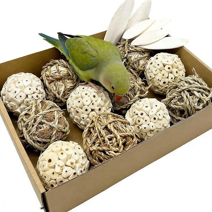 Bird Toys Sola Balls Parakeet Toys Natural Soft Chew Grass Balls with Cuttlebone for Parrots Conures Rabbits Hamster Guinea Pig Chinchilla(Style 2, 18 PCS)