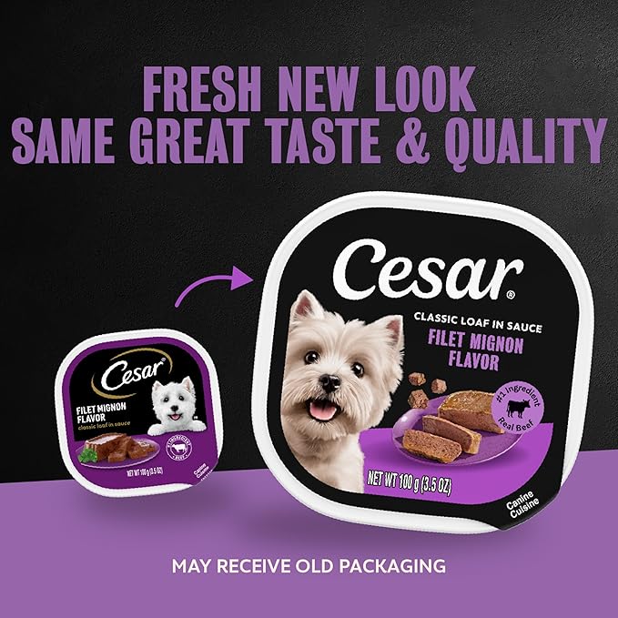 Cesar Classic Loaf in Sauce Adult Wet Dog Food Filet Mignon, 3.5 oz. Easy Peel Trays, 24 Count (Pack of 1)