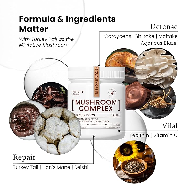 Pawpulse Formula Immune Defense Mushrooms for Dogs - Cellular Growth, Turkey Tail and Lions Mane for Cognitive Support, Lumps and Bumps, Gut Health and Longevity - Senior Dog Supplement, 80 Chews