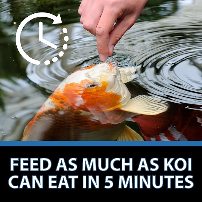 CrystalClear Platinum Fish Food, Premium Floating Pellets for Koi & Goldfish – Boost Growth, Color, and Wellness in Backyard Ponds & Water Gardens, 3mm Pellets, 17.6 Pounds