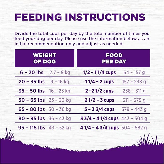 Wellness Complete Health Adult Dry Dog Food, Wholesome Grain Kibble, Natural, Chicken Free, Whitefish and Sweet Potato Recipe, 5 lb Bag
