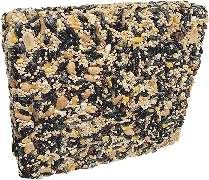 Songbird Feast Large Seed Cakes | 1.5-2 lb Large Bird Seed Cakes for Wild Birds