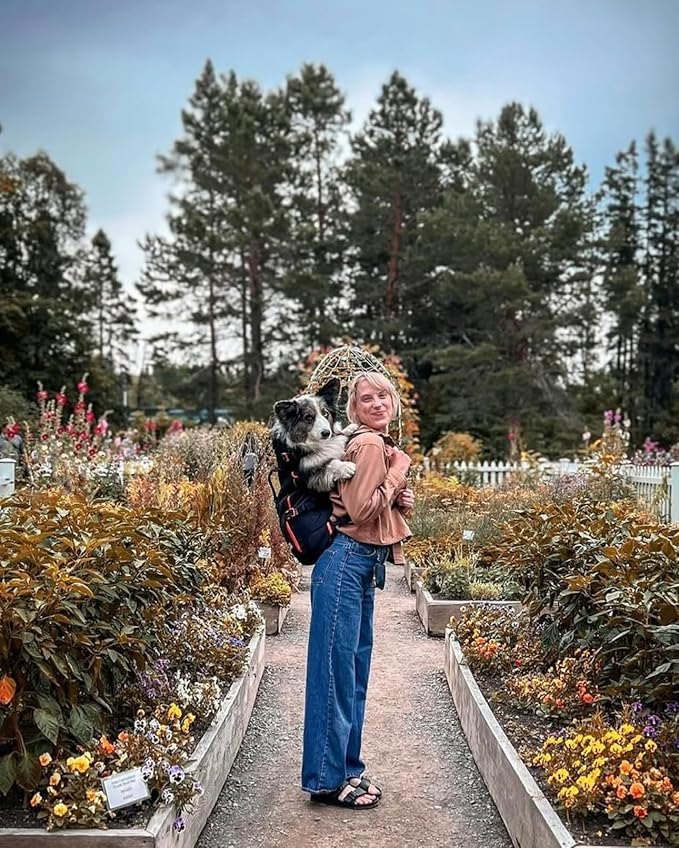 Maxine One Dog Backpack Carrier for Medium Dogs by Little Chonk | Adjustable & Ergonomic Front Facing Dog Carrier Backpack | Bult to be Safer | Pet Backpack Carrier, Featured in Wired Magazine - Black