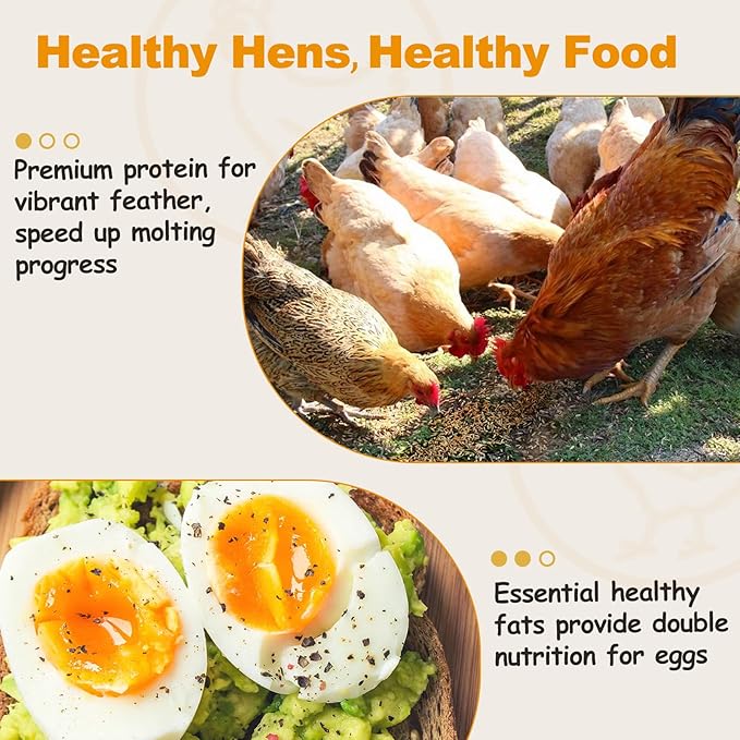 2LB Dried Mealworms, Non-GMO Meal Worms for Chickens & Birds, High Protein Chicken Feed, Natural Chicken Worms Ideal for Wild Birds, Reptile Tasty Bird Food
