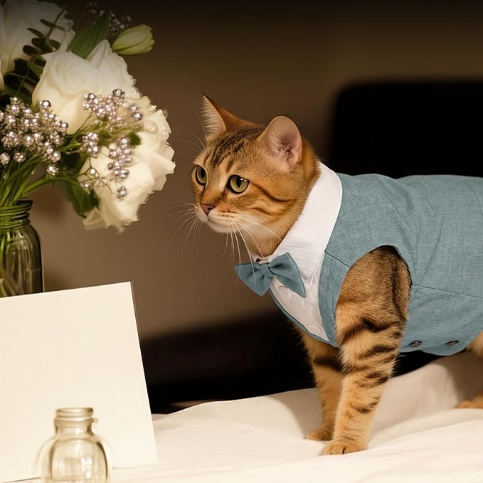 PUMYPOREITY Cat Tuxedo Suit Formal Wear with Bow Tie, Soft Skin-Friendly Cat Costumes for Cats Only, Elegant Outfit for Male Female Cats, Perfect for Wedding Birthday Photo Shoots, L, Grey