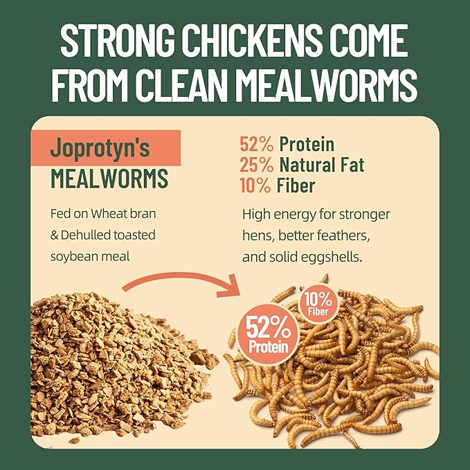 10LB Premium Non-GMO Dried Mealworms - High-Protein Natural Feed & Chicken Treats for Chickens, Ducks, Wild Birds, Quails & Reptiles - Support Egg Production & Feather Growth