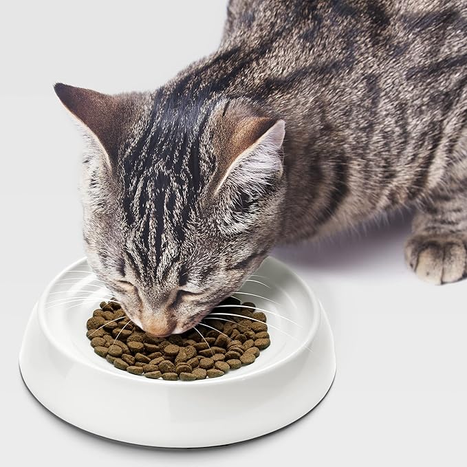 CatGuru Cat Bowls, Whisker Friendly Food Bowl for Indoor Cats, Reliefs Whisker Fatigue, Wide Kitten Dish, Non Slip Pet Dishes, Shallow Pet Plates (Marshmallow)