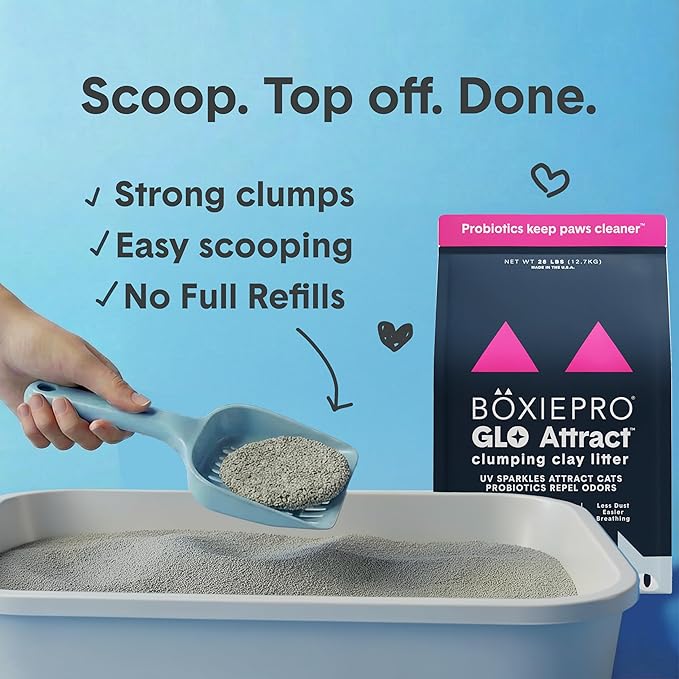Boxie Glo Clumping Clay 30 Day Odor Control Cat Litter, 99.9% Dust-Free, Low Tracking, UV Light Attractant, 40 lb