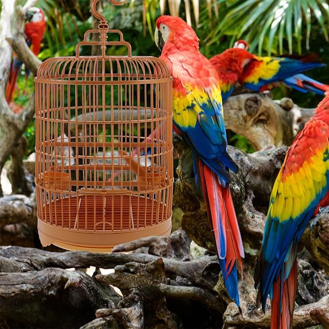 Round Bird Cage, 25cm Plastic Display Cage for Parrots & Cockatiels - Portable Hanging Birdcage with Feeder for Small Birds Finches Canaries Budgies 9.8" X 17.6",Yellow