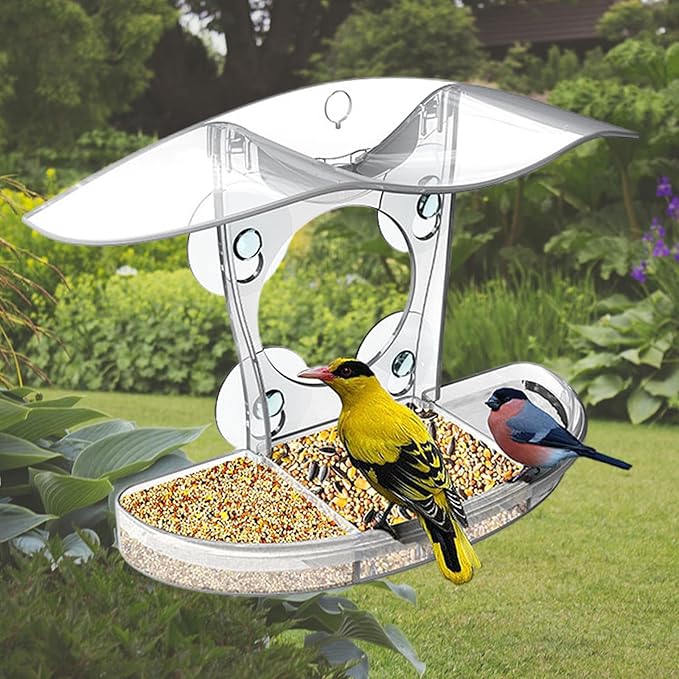 Large Capacity Bird Feeders Hygienic Feeding Bowl Water Drink for Small Feeding Transparenst Bird