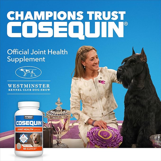 Nutramax Cosequin for Dogs Joint Health Supplement, Contains Glucosamine for Dogs, Plus Chondroitin and MSM, Supports Healthy Joints, For All Breeds and Sizes, Chewable Tablets, 132 Count