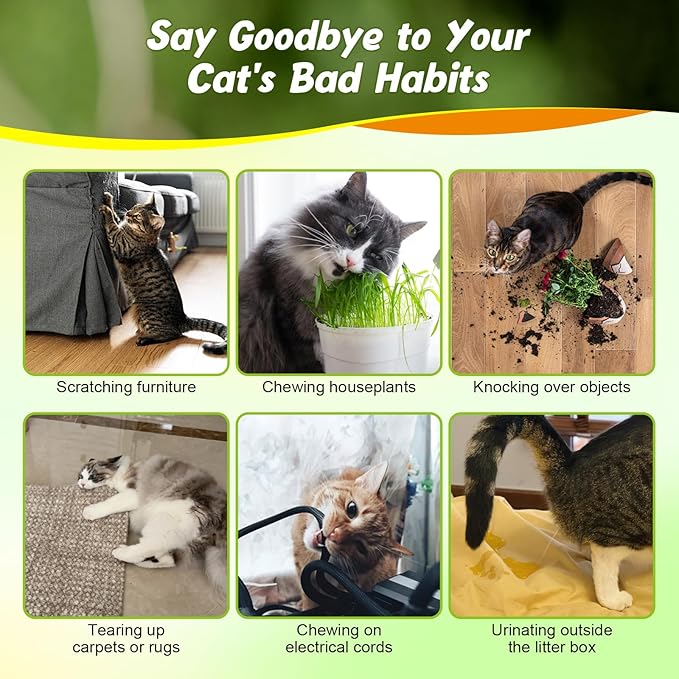 Cat Deterrent Spray - Natural & EffectiveIndoor & Outdoor Deterrent for FurnitureProtection, Stop Cat Destruction Anti-ScratchFormula Training Aid for Cats