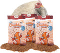 Chubby Dried Mealworms | 33 lbs | High-Protein Non-GMO Treats for Chickens, Ducks, Wild Birds & Backyard Pets