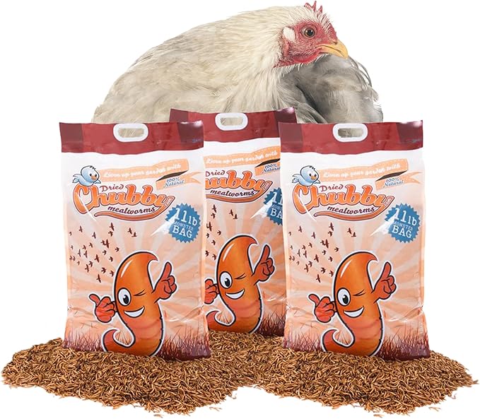 Chubby Dried Mealworms | 33 lbs | High-Protein Non-GMO Treats for Chickens, Ducks, Wild Birds & Backyard Pets
