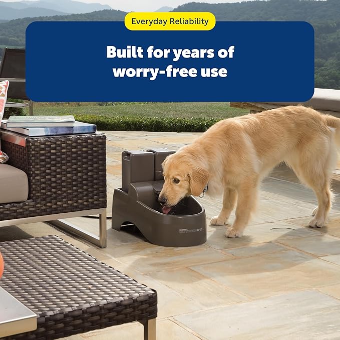 PetSafe Drinkwell Replacement Filter Pack for Outdoor Dog Water Fountain, 3 Carbon Filters & 1 Foam Filter
