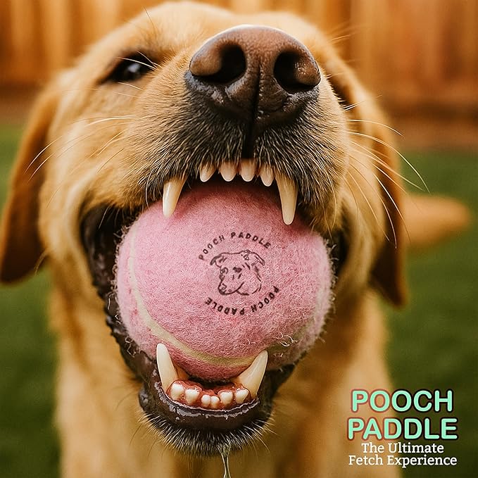 Dog Ball Launcher with 3 Balls - Long-Distance Ball Thrower for Dogs with Ergonomic Grip & 3 Durable Balls – Hands-Free Pickup, Slobber-Free Play for Park, Beach & Backyard