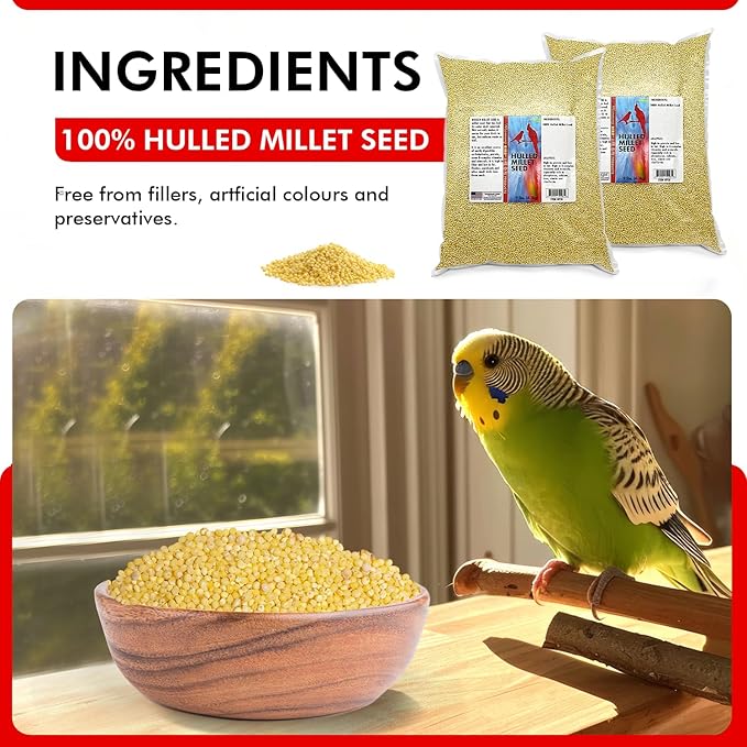 Morning Bird Hulled Millet 18 lbs (2-Pack, 9 lbs Each) – Nutritious Hulled Millet Seed - Easily Digestible with High Fiber, Rich in Vitamins & Minerals for Birds, Ideal Bird Feed for All Bird Types