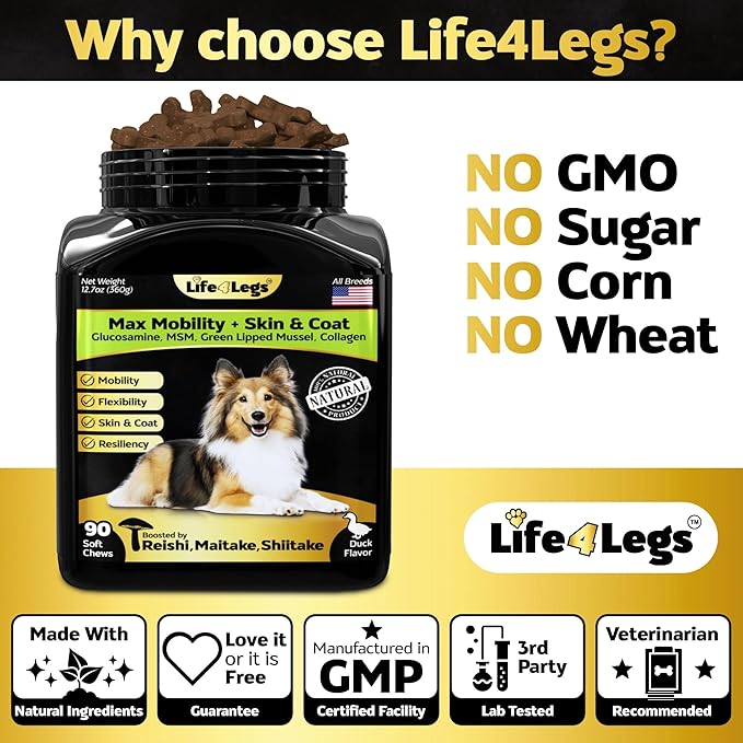 Hip and Joint Chews for Dogs + Skin and Coat Supplement - Dog Joint Pain Relief Treats - Glucosamine, Chondroitin, MSM, Hemp Oil, Turmeric, Omega 3 for Dogs, Mobility Dog Health Supplies