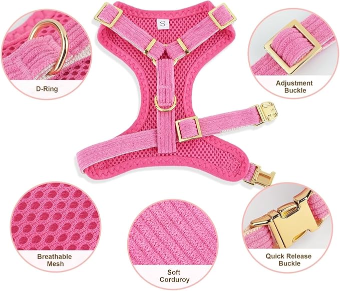 Didog Cute Small Dog Harness Collar and Leash Set with Bowtie, Breathable Soft Mesh Padded Puppy Harness, Dog Harness for Small Dogs Daily Walks Parties, Holiday Gatherings & Gifts, Hot Pink, M