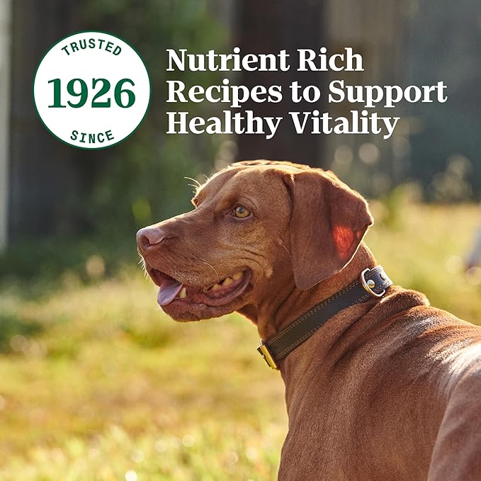 Nutro Adult Wet Dog Food, Natural Grain Free Dog Food Wet Cuts in Gravy Roasted Turkey, Potato & Pea Stew Recipe, 3.5 oz. Trays (Pack of 24)