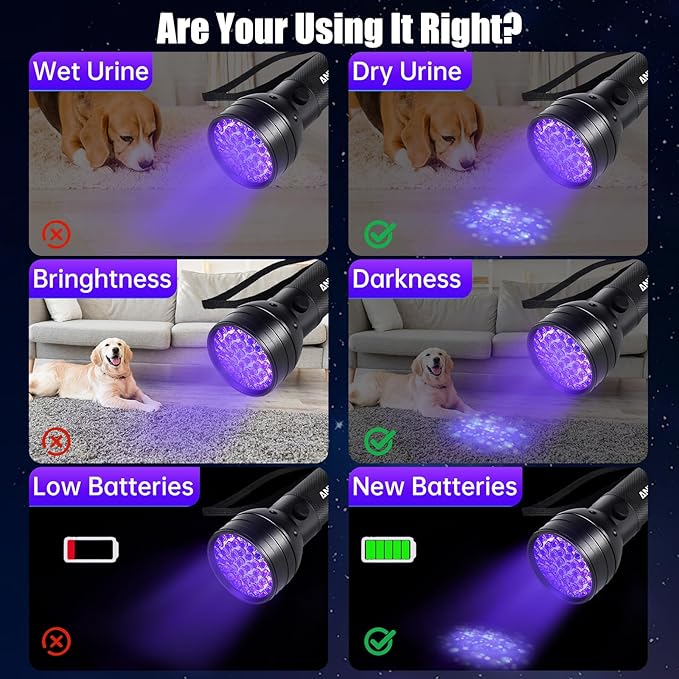 51 LED UV Black Light Flashlight, 395nm Portable Ultraviolet Pet Urine Detector for Dog Cat Stains, Bed Bugs, Scorpions, Resin Curing, Keychain Flashlight & Battery Included