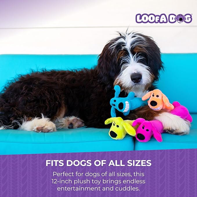 Multipet Original Loofa Dog Plush Toy - Squeaky Toy for All Dogs - Extra Soft Plush - Stuffed Animal Dog Toys for Playing - Cute Dog Pet Toy (1 Count, 12”, Random Color Surprise)
