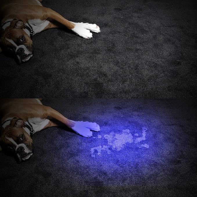 Encell LED Pet Urine Scorpion Detector UV Flashlight
