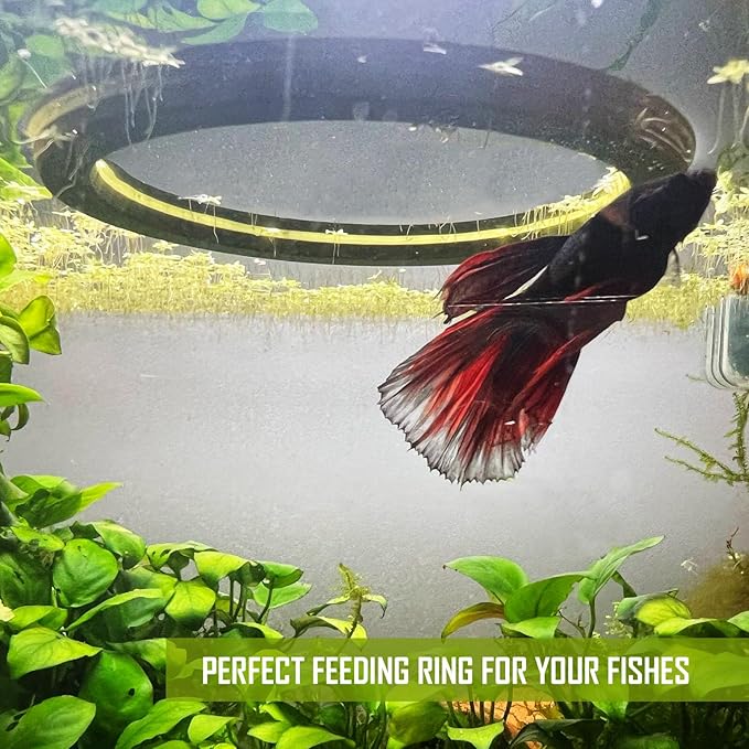 Aquarium Floating Duckweed Organizer. Set of 3 Floating Rings - 3in, 4in and 5 in. Floating Fish Feeding Ring. Aquarium Fish Tank Decor. Aquarium Starter Kit.
