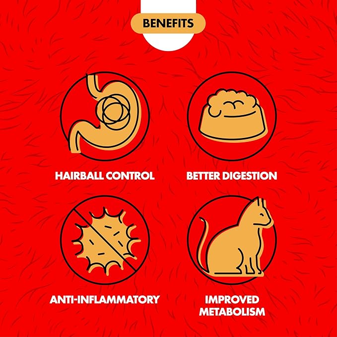 Miracle Care Cat A'bout Cat Grass Kit for Indoor Cats, 5.25 Ounce, Hairball Control, Anti-Inflammatory, Improves Digestion and Metabolism