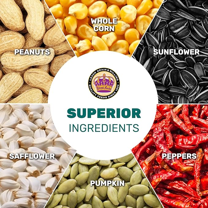 Parrot Mix 5 Lbs, Premium Parrot Food, Nutrient-Rich Blend Birdseed, Supports Energy, Growth & Digestive Health, Tasty and Enjoyable Mix Parrot Food for Healthy & Balanced Diet