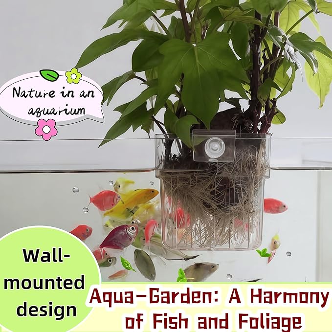 ARREBOL 2 Pack Clear Aquarium Plant Holder Top Hanging Fish Tank Plant Holders Fits up to 0.8in Tank Edges