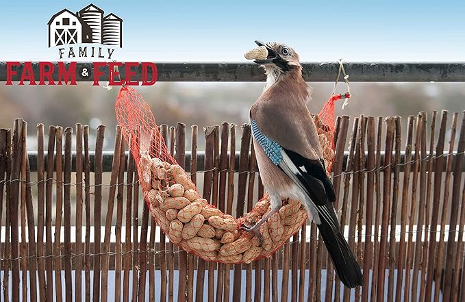| Four Seasons | in Shell Peanuts | Wild Bird Food | Backyard Songbird | 2 Pounds