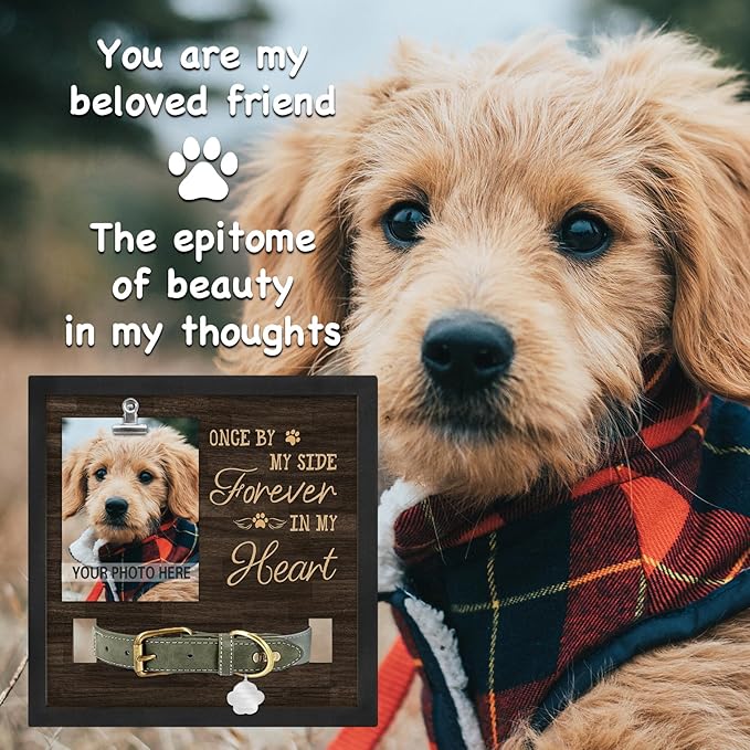 Dog Memorial Gifts for Loss of Pet, Pet Loss Sympathy Gifts, in Memory of Dog Passing Away, Forever in My Heart