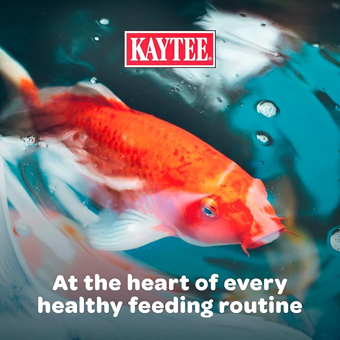 Kaytee Koi’s Choice Koi Floating Fish Food, For Koi, Goldfish and Pond Fish, 3 pounds