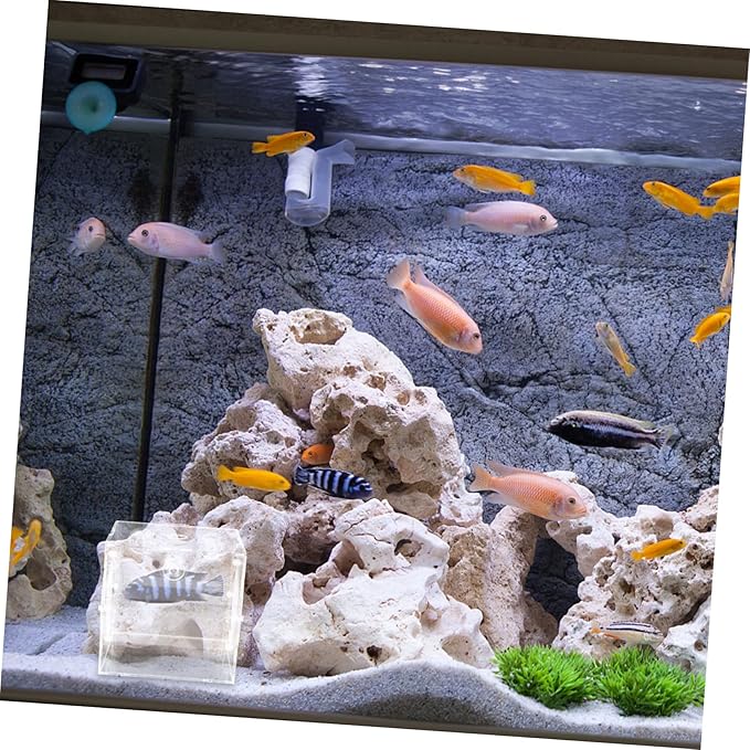 ibasenice Fish Isolation Box for Aquarium Practical Fish Tank Incubator Box for Guppy and Shrimp Breeding Lightweight Easy to Install Cups for Protecting Newborns and Eggs