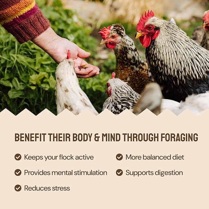 Hatortempt Chicken Feed Supplement - High-Protein Foraging Mix - Poultry Treats for Chickens - Calcium-Rich Poultry Grit for Shell Support - Dried Mealworms & Grubs for Enrichment - Bird Food (5lb)