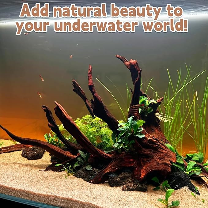 PINVNBY Natural Driftwood for Aquarium Decor Fish Tank Decorations Reptile Decor Driftwood Decor, 3 Pieces 7"-11" Assorted Driftwood Branch