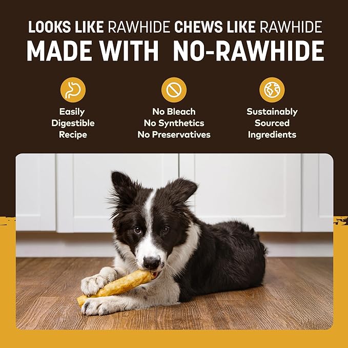 Earth Animal No Hide Chews - Long Lasting Rawhide Free Medium Dog Chews Rolls, Peanut Butter - 2 Count